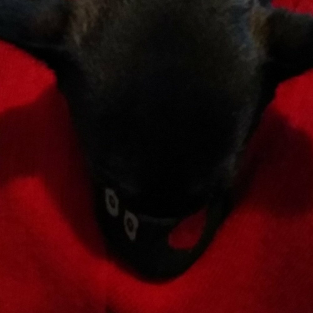 Dog Mask - Picture 2 of 5